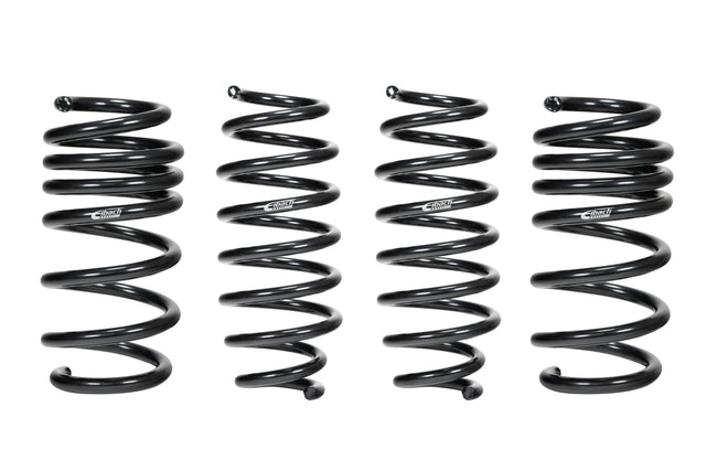 Eibach Model 3 Lowering Springs