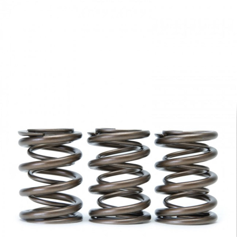 Skunk2 Tuner Series Honda/Acura (H22A/F20B) DOHC VTEC Alpha Valve Spring Set (Dual Springs)